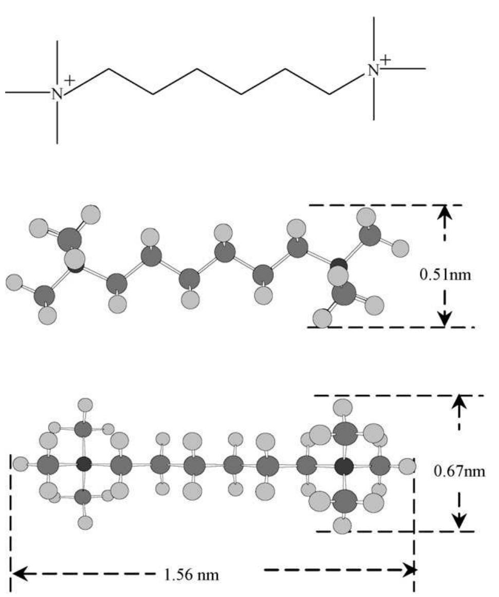 Structure and dimensions of hm molecule. fig. 4 shows the