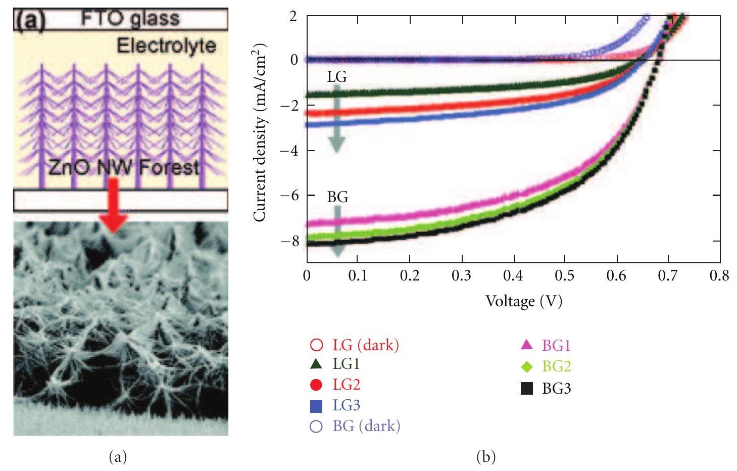 Ficure 19: (a) schematic structure of a solar cell and (b)