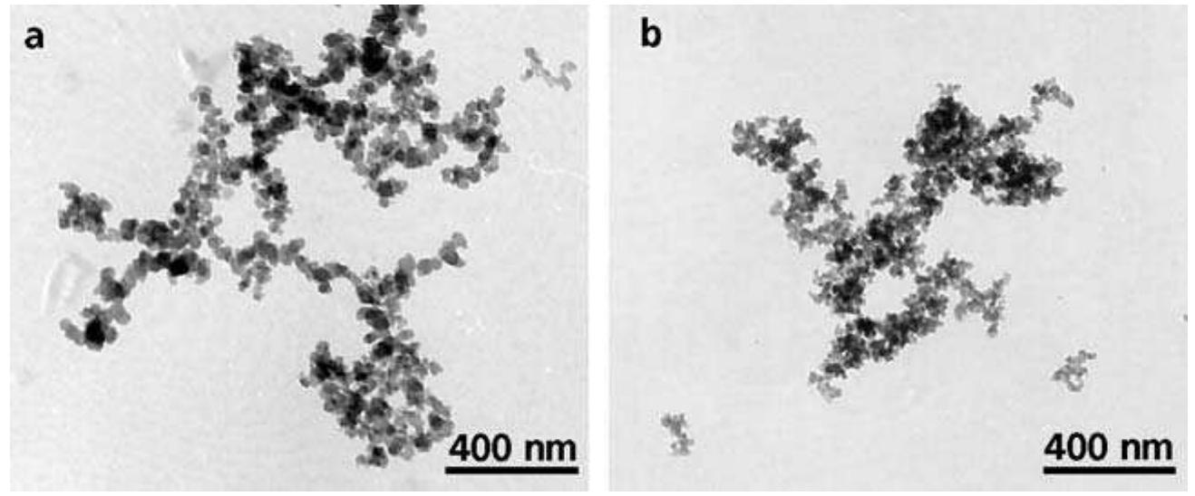 Figure 1.3 TEM micrographs of: a) carbon black CRX 2006; and b) silica Zeosil 1165  Precipitated silicas have a fully hydroxylated surface with 4 to 10 silanol groups per nm’; the fumed silica surface is partially hydroxylated with about one-fourth of silanol groups compared to precipitated silicas. Therefore, silane coupling agents are often used both to reduce the silica surface polarity and to chemically bond silica particles to the 
