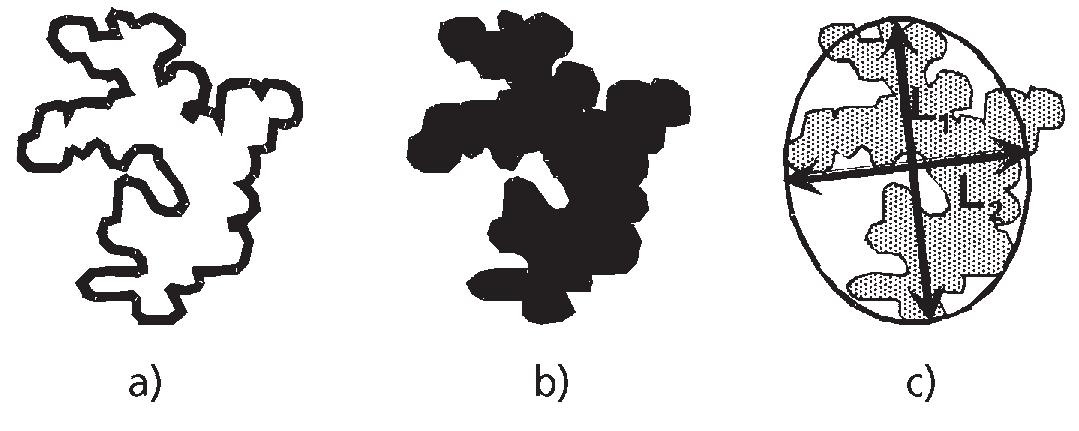Figure 1.4 Morphometric descriptors: a) perimeter, P; b) area, A; c) aspect ratio, F = L,/L, 