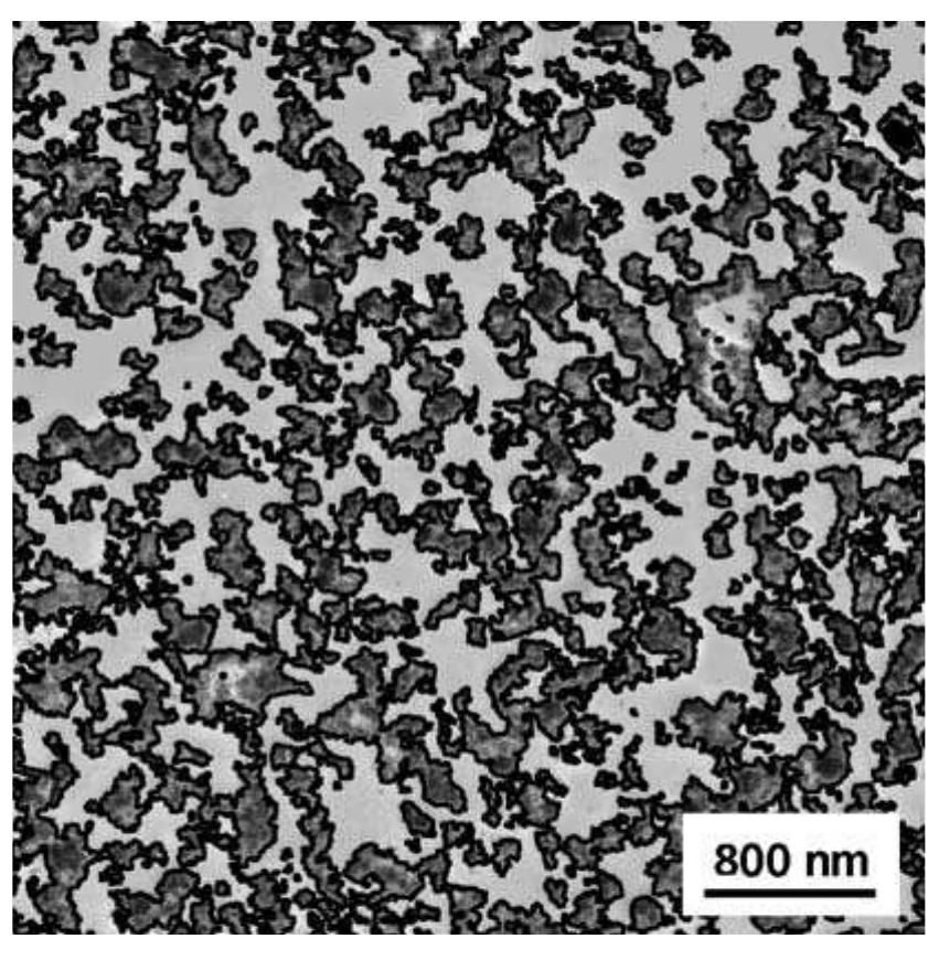 Figure 1.9 TEM micrograph from which all the aggregates are identified for the analysis  1.5 Morphology of Carbon Black Dispersions 