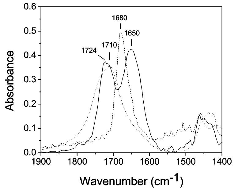 Carbonyl stretching region of ftir spectra of pvpon (---),