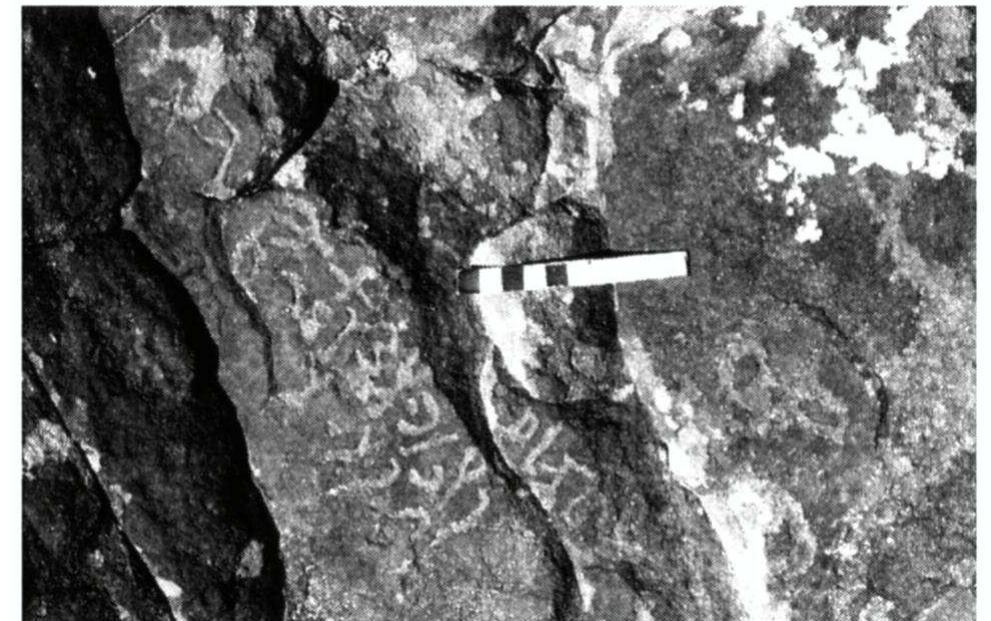 Hismaic Inscriptions (PDF) Ancient North Arabian-Nabataean bilingual inscriptions from ...