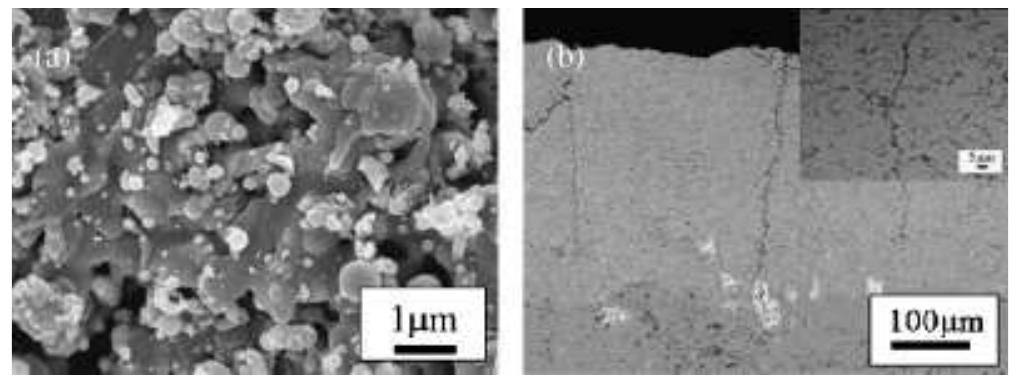 Microstructure of as-sprayed solution precursor plasma spray