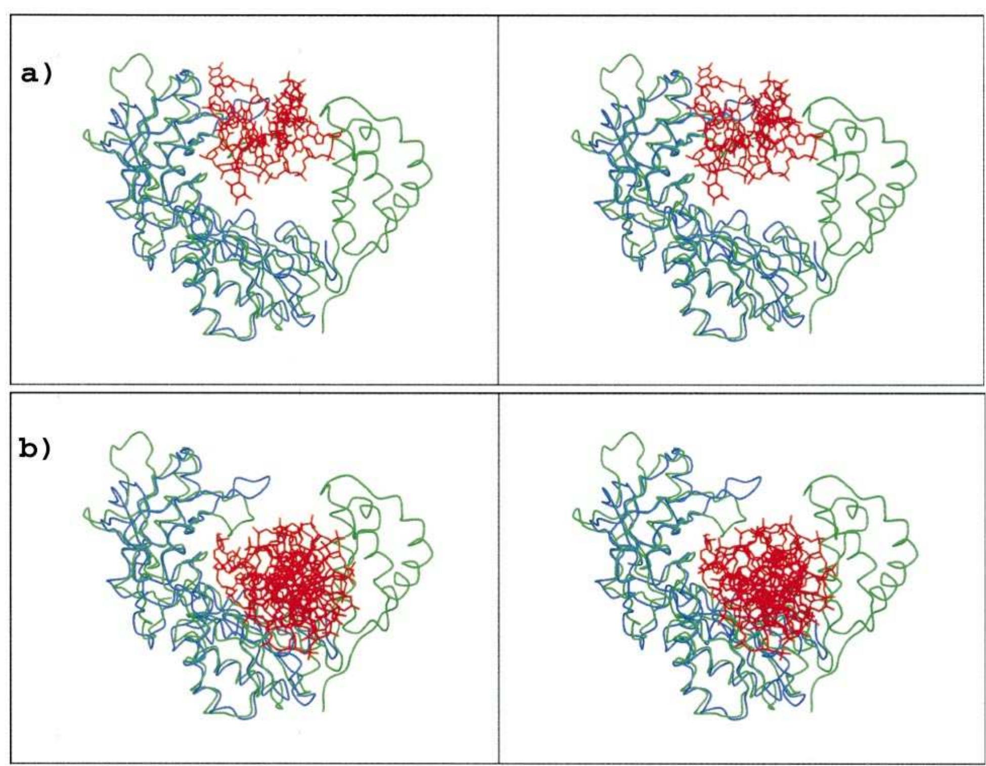 (PDF) Crystal structures of an N-terminal fragment from moloney murine ...