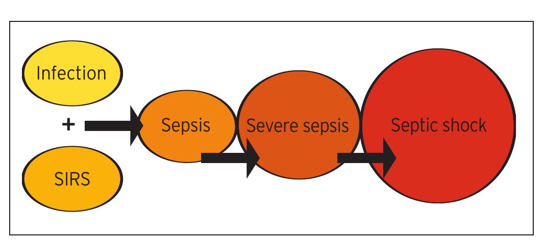 Table 2 - from The Sepsis Syndrome in Odontogenic Infection
