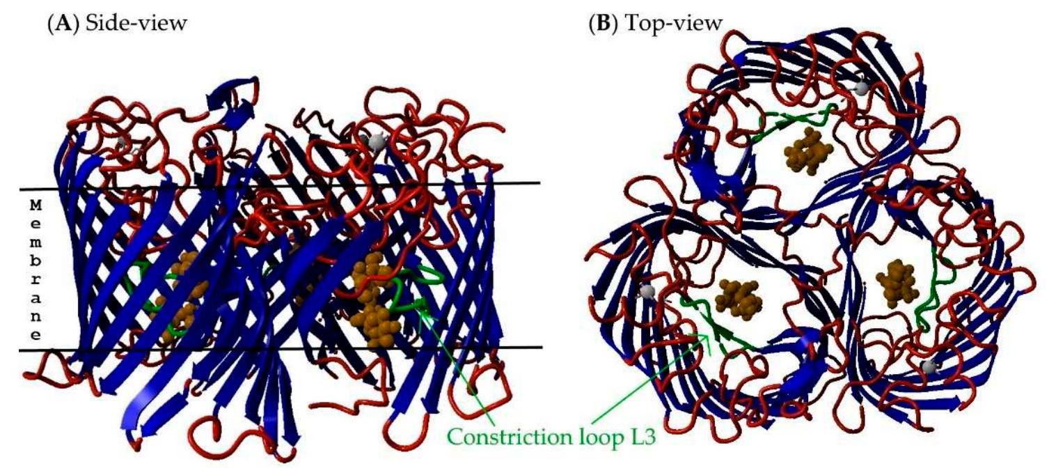 Figure 3 - from In Silico Structure and Sequence Analysis of