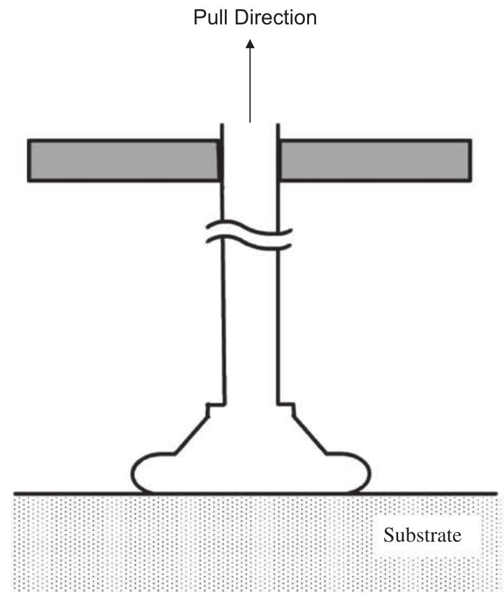 Pull Test Samples Figure 1 - from Metallurgical investigation of wire breakage