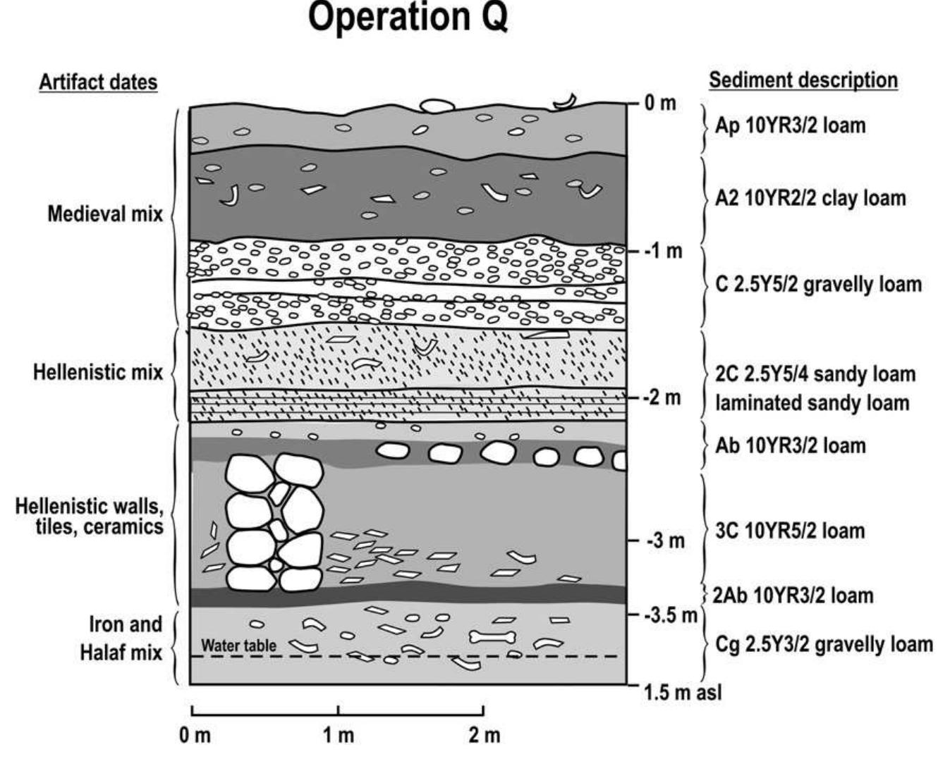 Fig. 4. Drawing of excavation Q showing soil and stratigraphic units. 