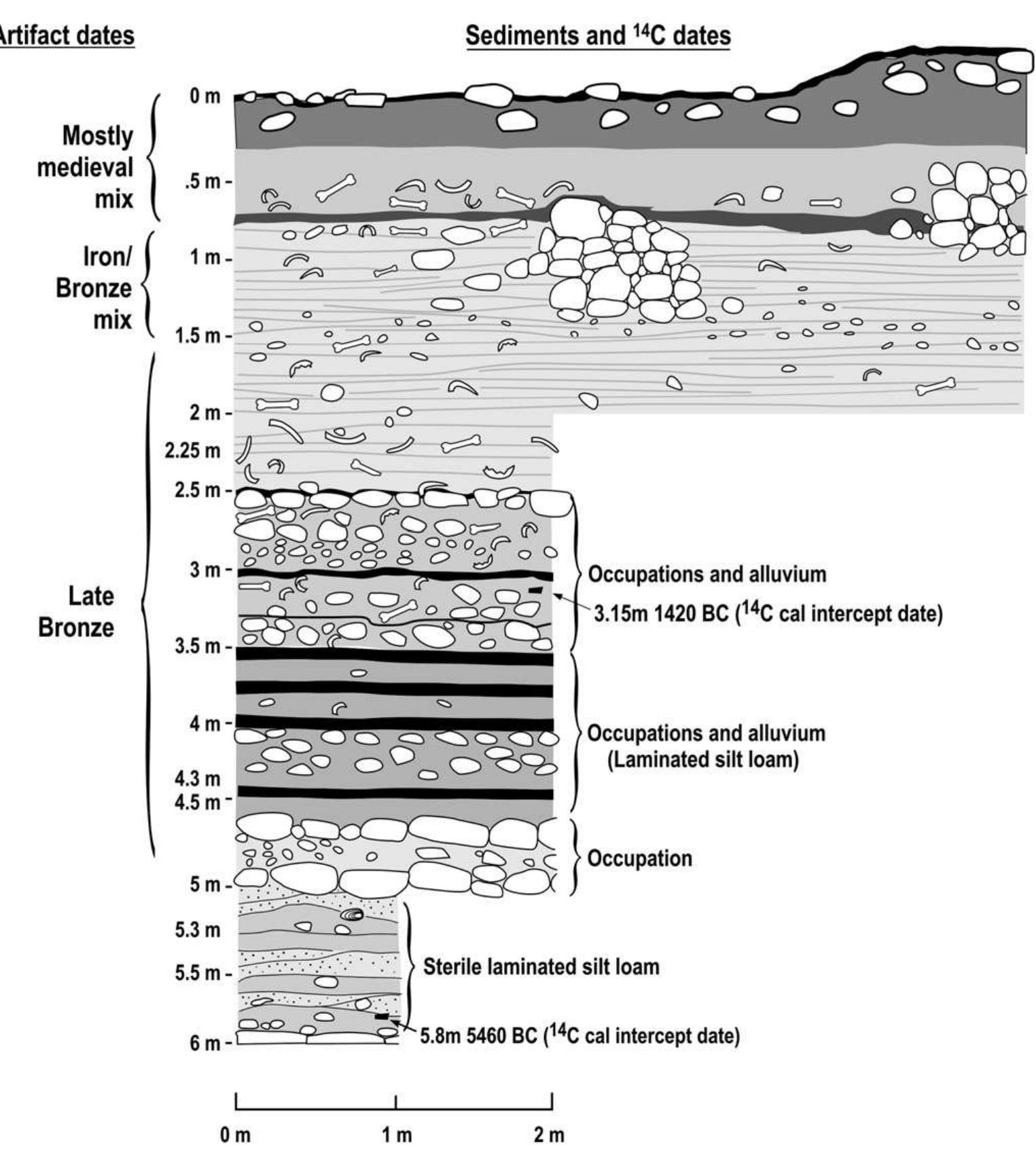 Fig. 5. Drawing of excavation R showing soil and stratigraphic units. 