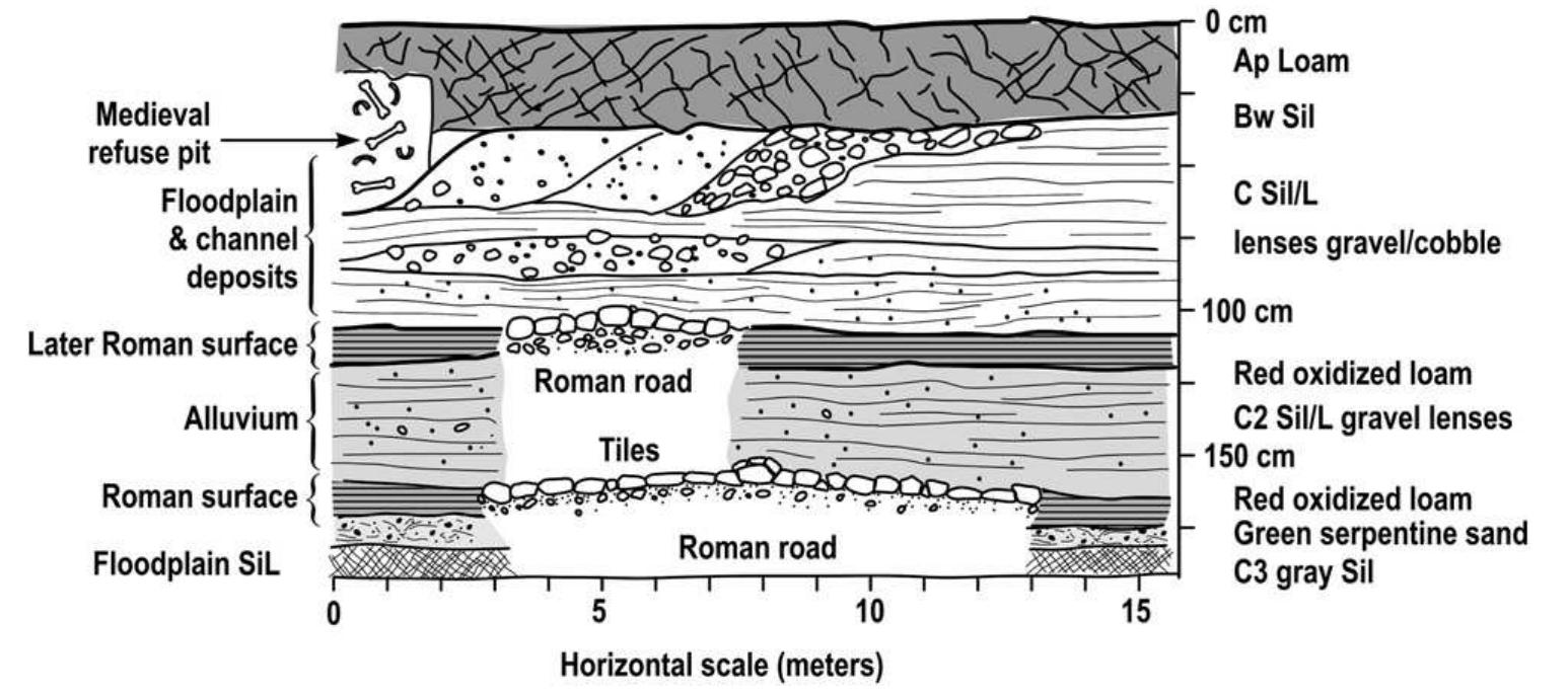 Fig. 7. Drawing of excavation T2 showing soil, Roman Road, and stratigraphic units.  Northeast and east of the Mound, the Kinet Project excavated 7 other soundings in the same field as T (Figs. 2 and 9). We abandoned excavation S at 75 cm from the surface because it landed on top of a Medieval burial. Trench X, 60 m east of the Mound, began on a trench that had been started by looters and uncovered a Medieval well, buried under 60-80 cm of sediment, and extended downward more than 1 m through Hellenistic deposits (Gates, 2002). Three soundings (WA-C) northeast of the Mound produced consistent artifacts down to  cultural deposit that diminishes downward to a cobbly loam soil at 5 m with 3rd and 4th C BC Hellenistic artifacts. From 310 cm to the bottom of the excavation, textures are loams that fine downward with increasing clay and redoximorphic, light to dark gray colors. This owest excavation depth is about 2 m asl, and we encountered few artifacts and no water table in this July excavation. Overall, sediments were principally Medieval above 170 cm and Hellenistic or Roman from 170 to 500 cm (Gates, 2002). The radiocarbon date from the top of a paleosol at 3.4 m dates to Late Hellenistic or Roman, and the 170 cm of alluvium with Hellenistic artifacts above this is probably ater Hellenistic through later Roman. The lowest 130 cm must be  