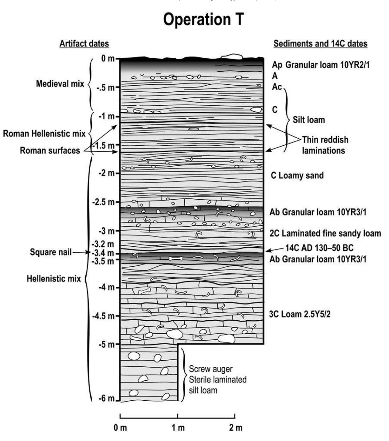 Fig. 6. Drawing of excavation T showing soil and stratigraphic units. 