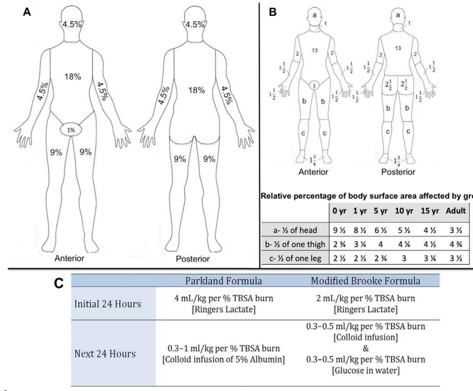 Tbsa Graph (PDF) Burn Management in Orthopaedic Trauma: A Critical Analysis Review