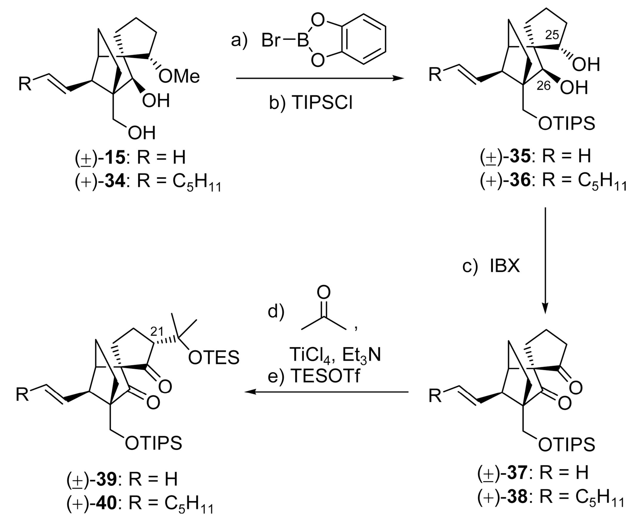 Figure 15 - Total Synthesis and Structural Revision of