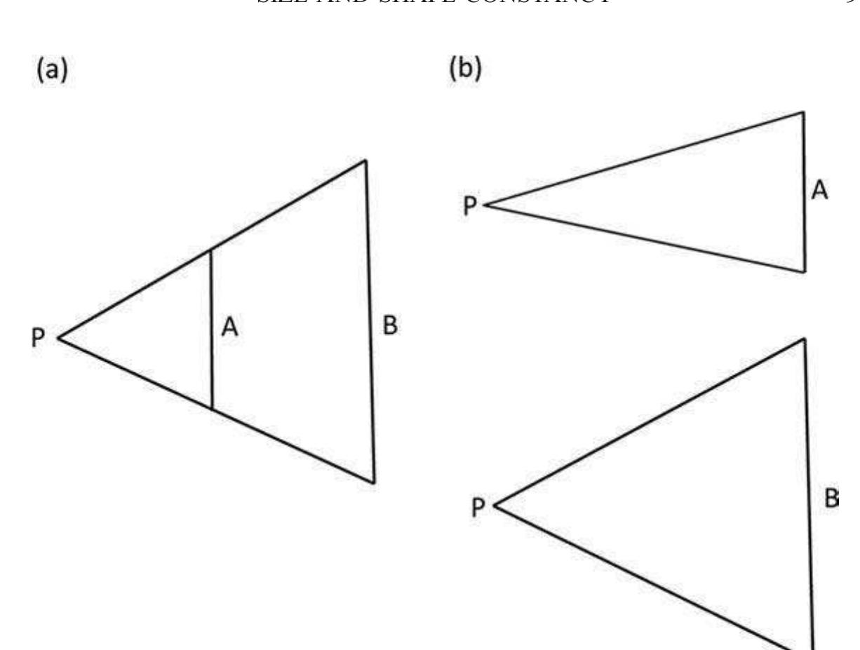Diagram (a) illustrates that objects of different sizes can