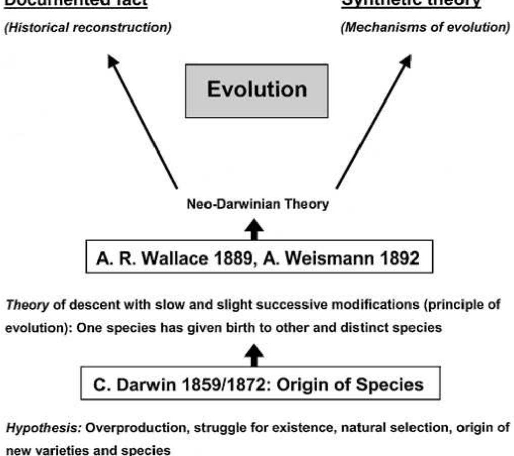 (PDF) The modern theory of biological evolution: an expanded synthesis