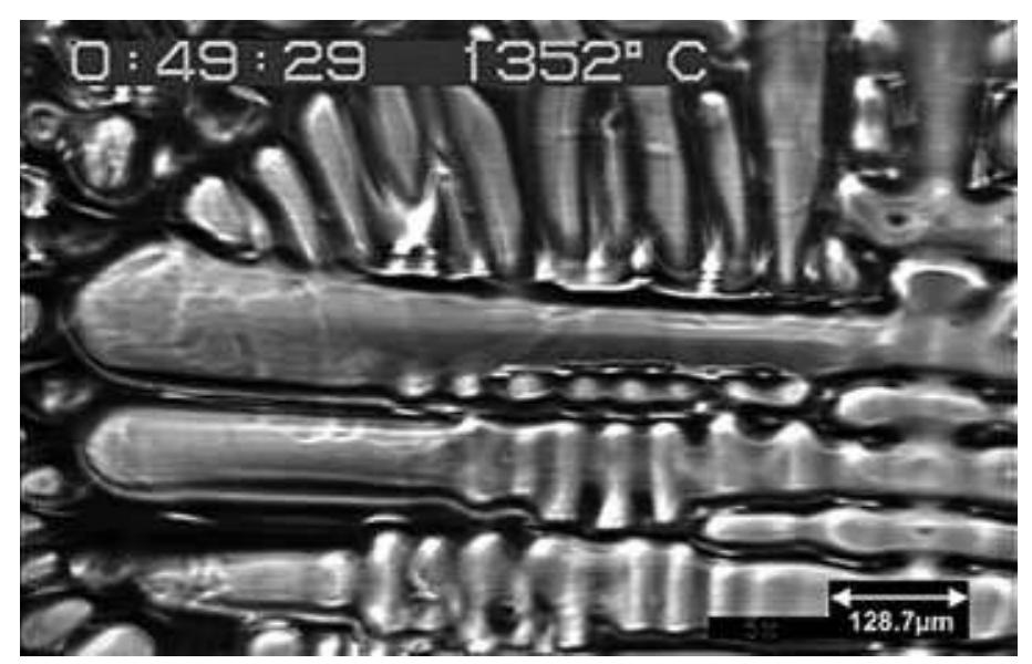 Dendritic Delta Pattern Dendritic delta-ferrite microstructure observed in a 450 wm