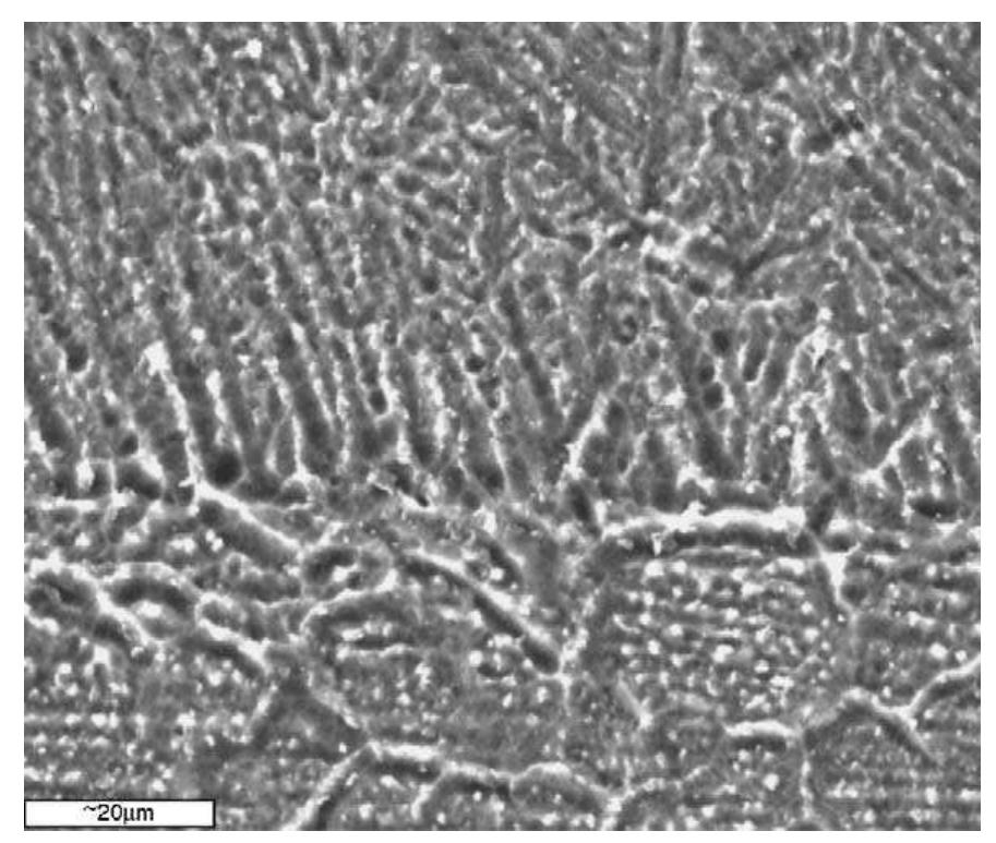 Dendritic Microstructure Example Sem showing the fine dendritic microstructure of laser