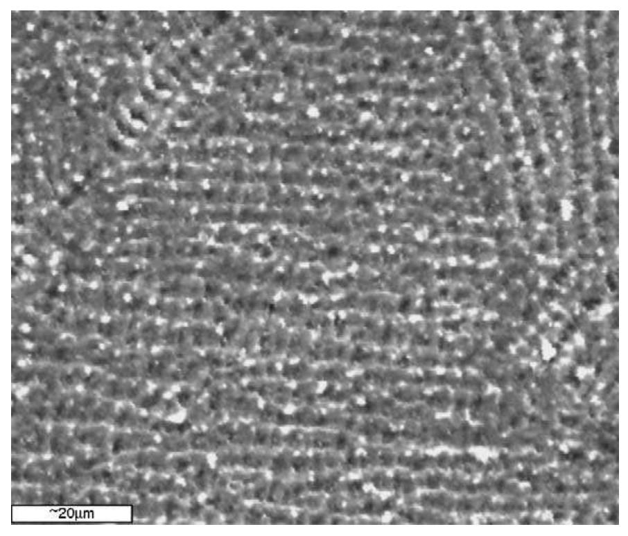 Sem showing the fine dendritic microstructure of laser