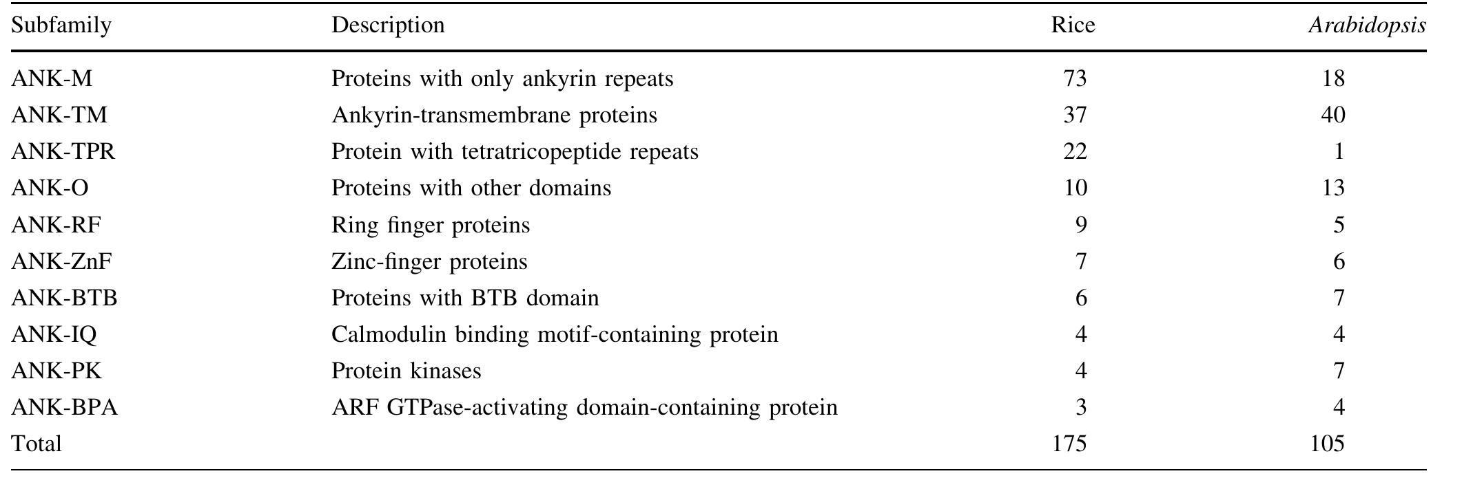 Table 1 - from The ankyrin repeat gene family in rice: