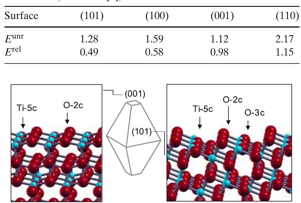 Equilibrium shape of the anatase crystal (after ref. [9]).
