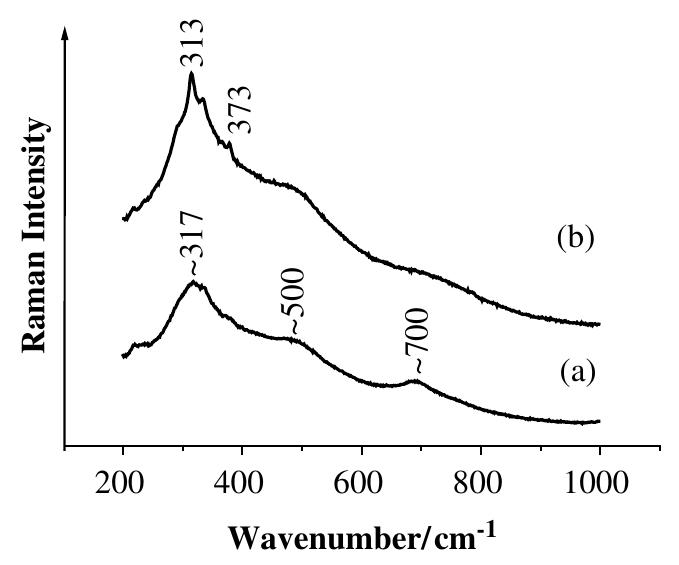 Raman spectra of sample n.173 black decoration at two
