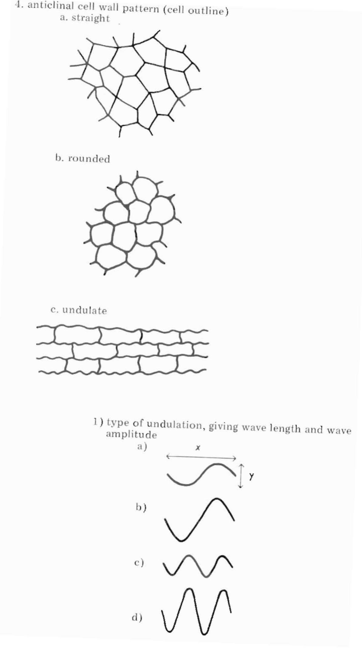 What Is Plant 3d Used For What Is Plant 3d Used For