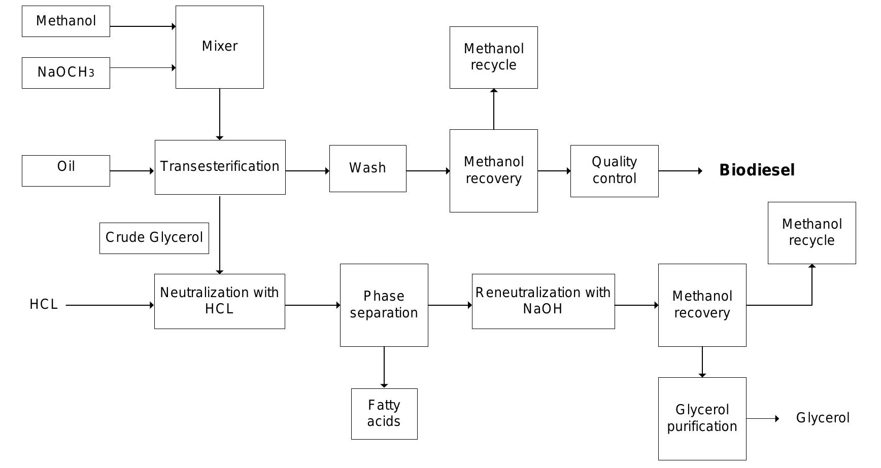 General process steps for the biodiesel production
