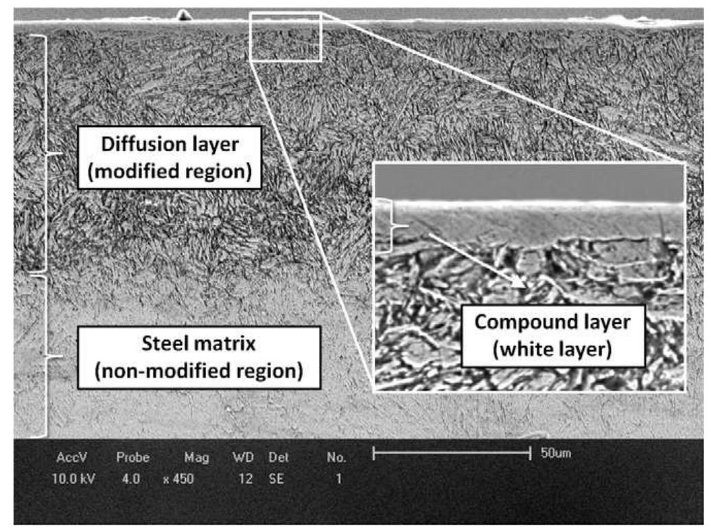 Figure 6 - from Microstructure and corrosion behaviour of
