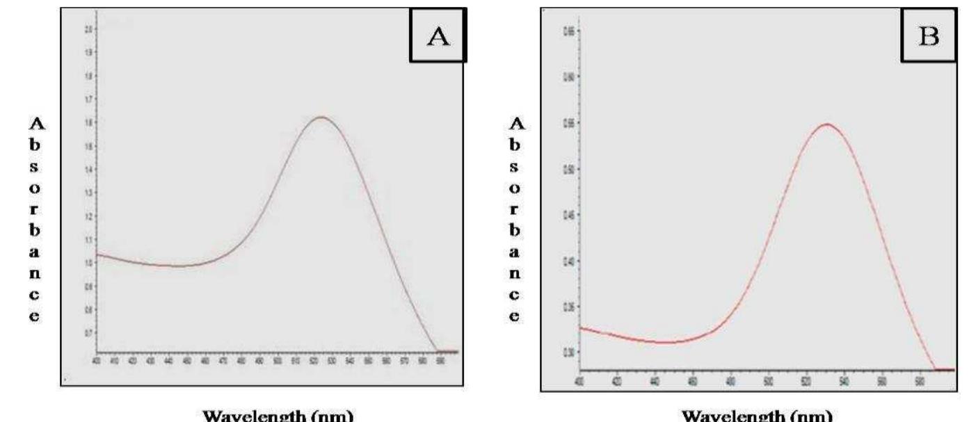 - uv/vis spectra of gnps of different sizes. (a) the