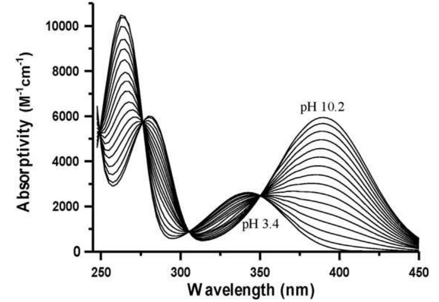 Absorptivity spectra of o-m1, 10~? m, recorded using a 0.2