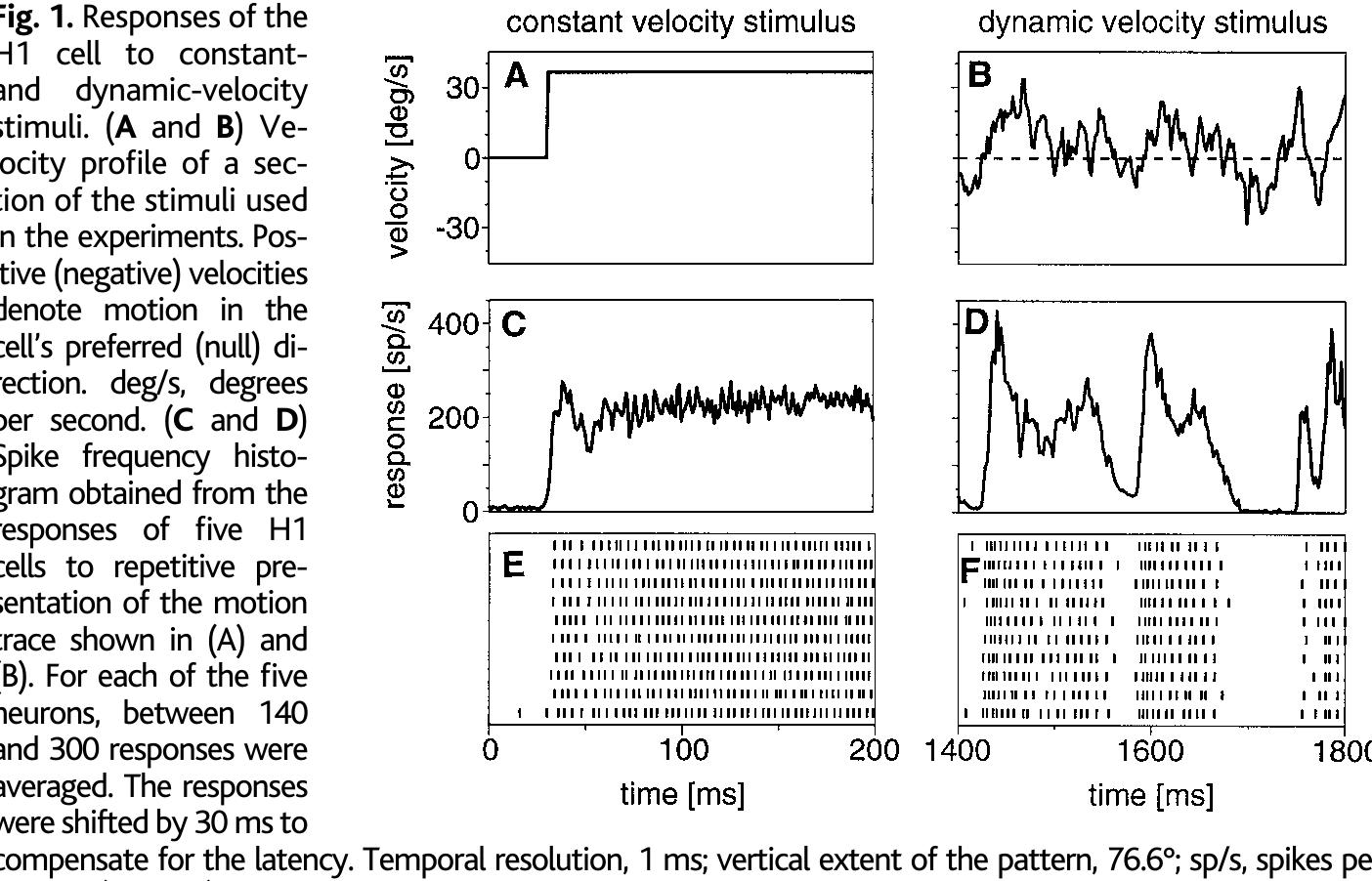 (PDF) Variability in Spike Trains During Constant and Dynamic Stimulation