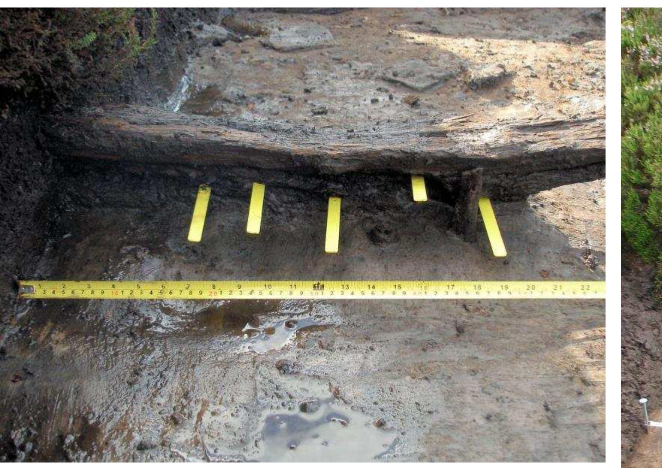 Figure 23 - from Monitoring of Mesolithic Lithic Sites at