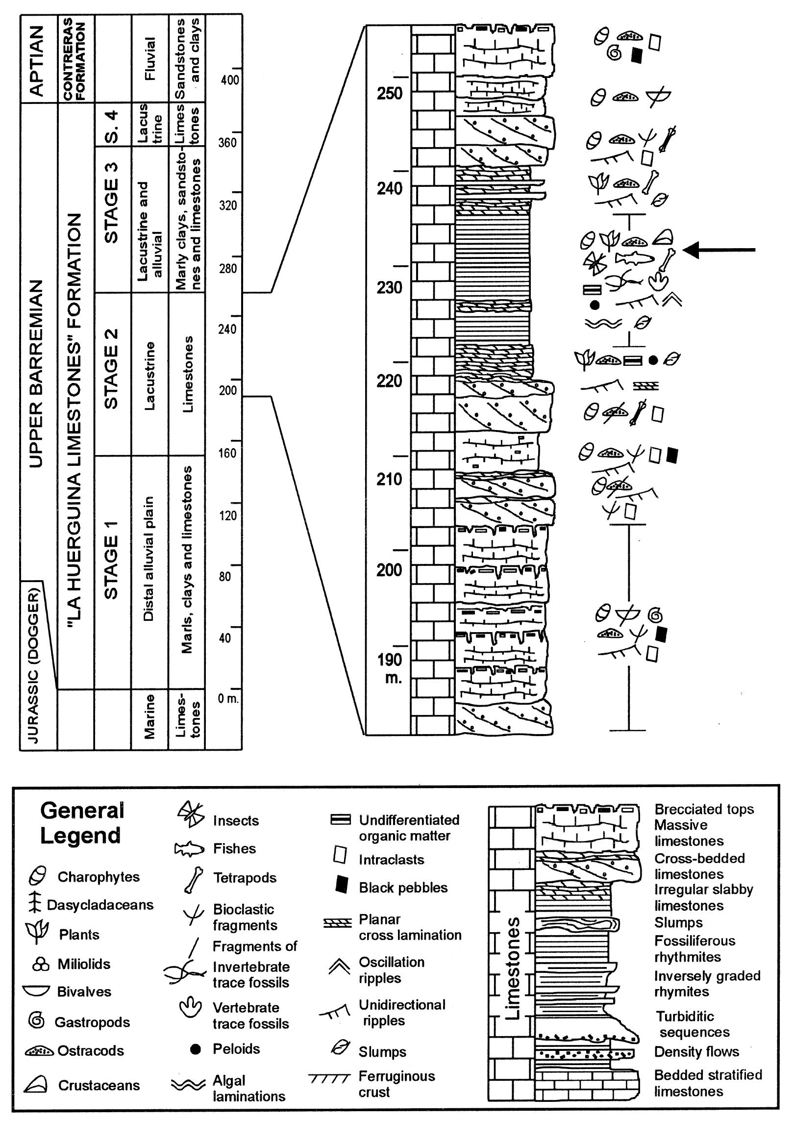 Undichna Fish (PDF) The fish trace fossil Undichna from the Cretaceous of Spain