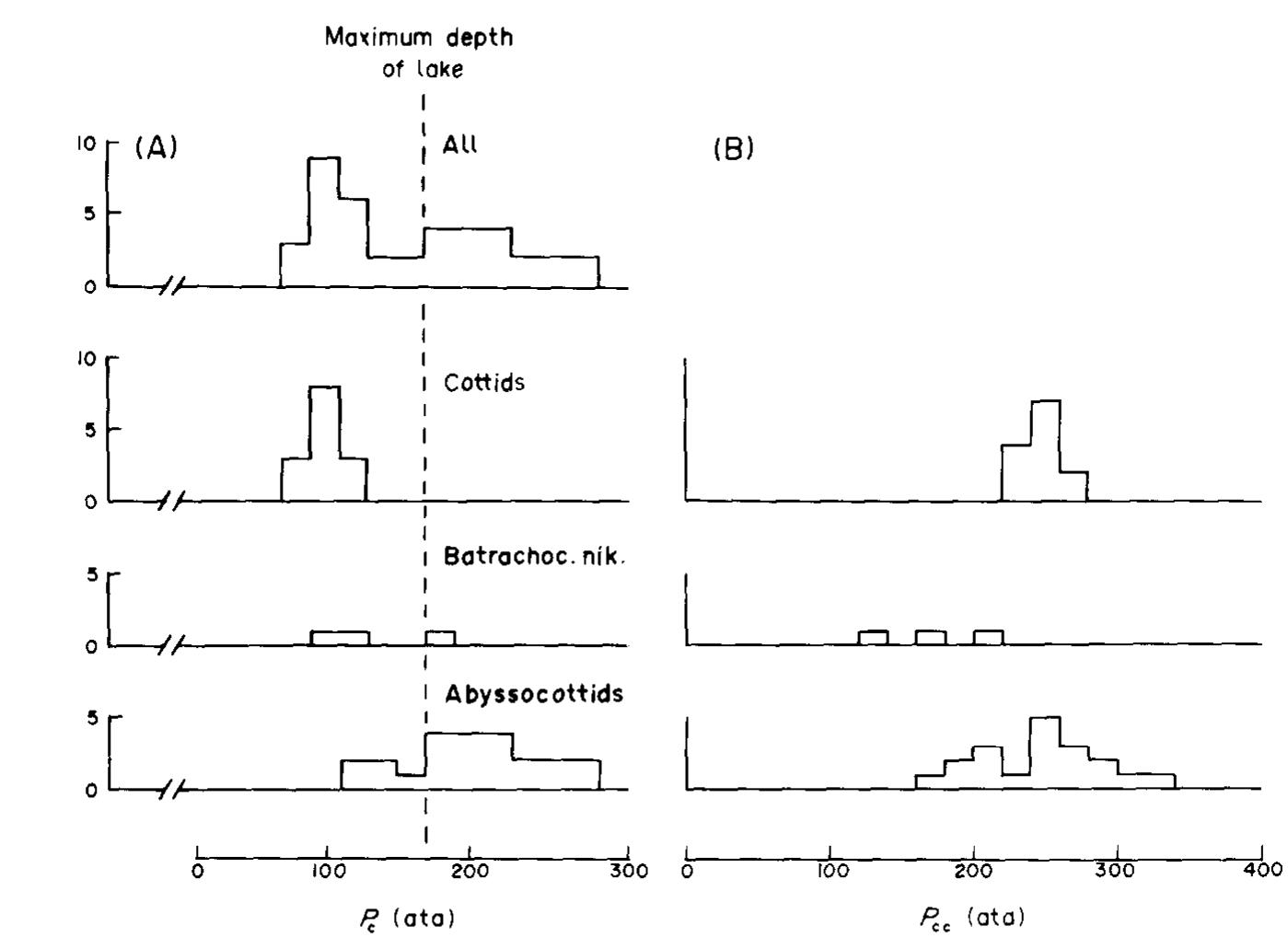 Cottids (PDF) Physiological adaptation of cottoid fishes of lake baikal to ...