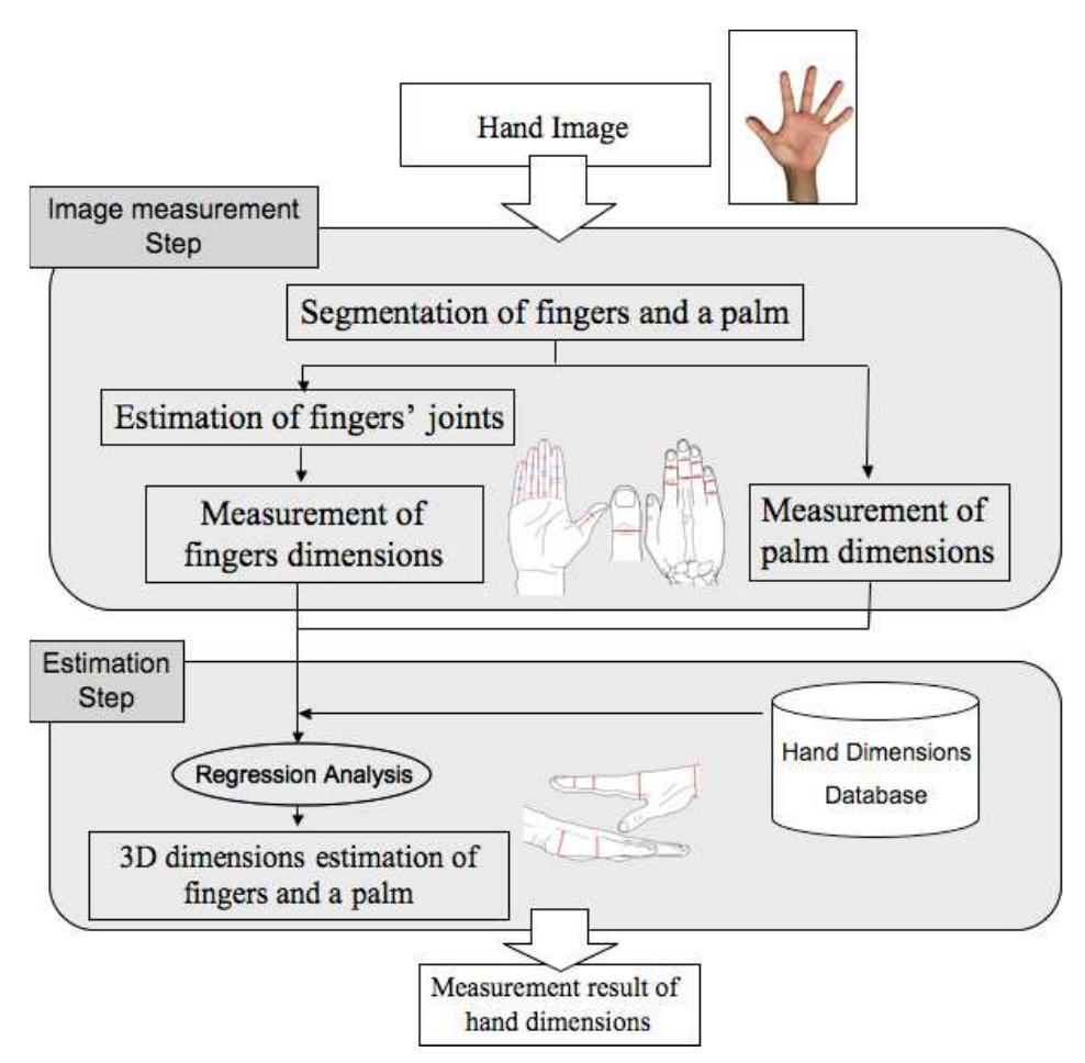 (PDF) Image measurement of hand dimensions and model-based human hand ...