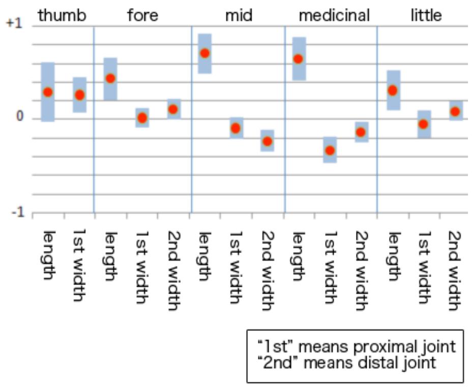 Hand Model Dimensions Pdf (PDF) Image measurement of hand dimensions and model-based human hand ...