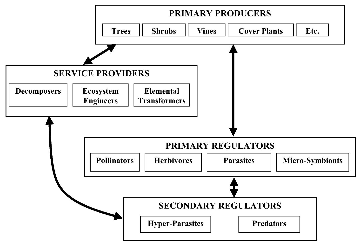 Subdivision Classification System Figure 1 - from Design and control of Proportional-Resonant