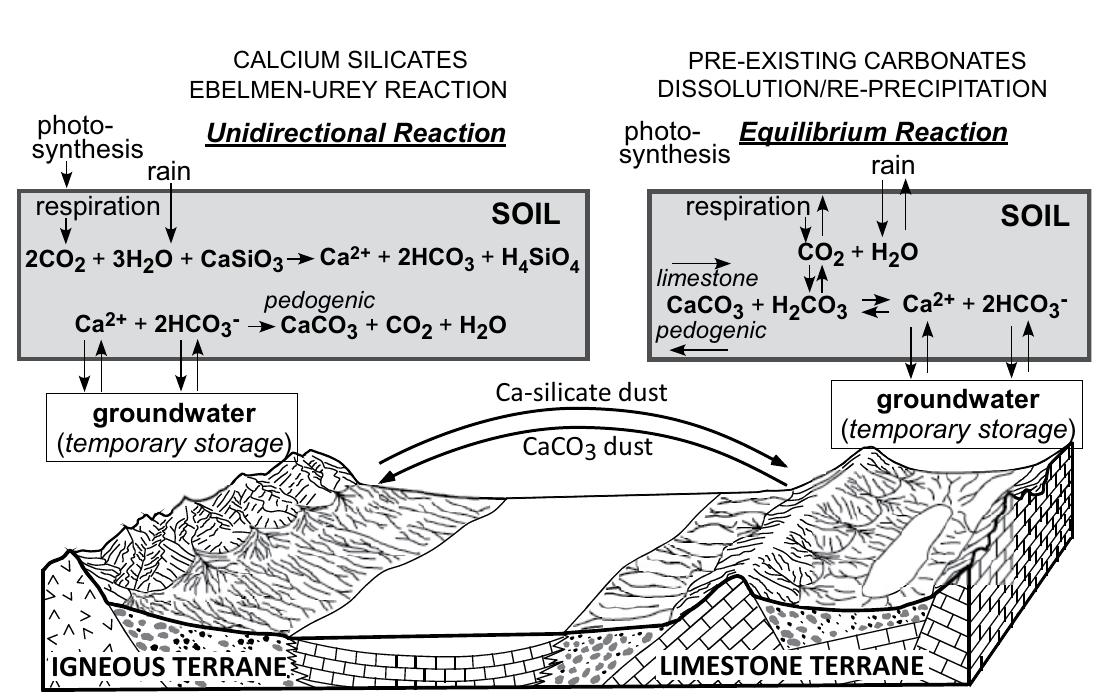 Carbon sequestration pathways in pedogenic carbonate and