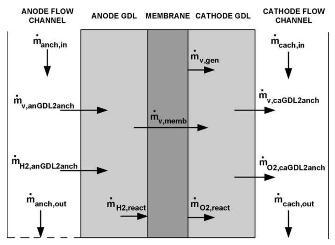 (PDF) Development and experimental validation of a PEM fuel cell ...
