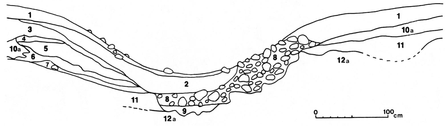 The ancient city of La Milpa is located in northwest- ern Belize near the eastern margin of the large interior karst plateau, a hydrologically elevated area character- ized by rugged free-draining uplands and numerous bajos (Dunning, Beach, Farrell, and Luzzadder-Beach 1998; Dunning et al. forthcoming). The La Milpa site center is situated atop a topographically prominent ridge on the plateau and is flanked by bajos of various sizes. Soils on the limestone uplands across this region are fertile but shallow clay Rendolls (or Rendzinas), soils that are vul- nerable to erosion where they occur on sloping terrain. Bajo soils are chiefly deeper clay Vertisols, but transi- tional soils occur along the catena up to the crest. Native vegetation ranges from deciduous swamp forest in the ba- jos to tropical wet/dry deciduous forest across the up- 