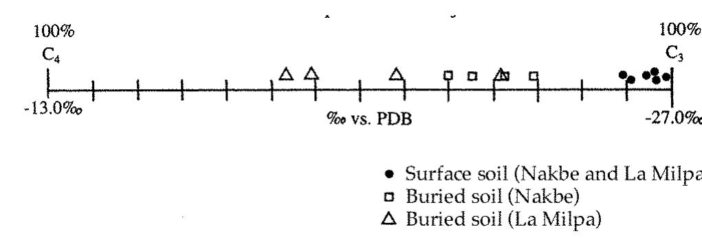 Figure 7. 82°C of soil organic matter in La Milpa and Nakbe bajos. Nakbe data from Jacob (1995), figure 4-16. 