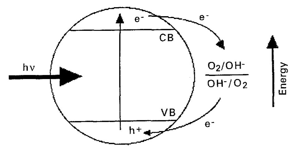 Fig. 2. Short-circuiting of an irradiated TiO, ‘microelectrode’ par- ticle by the O,/OH™ redox couple. 