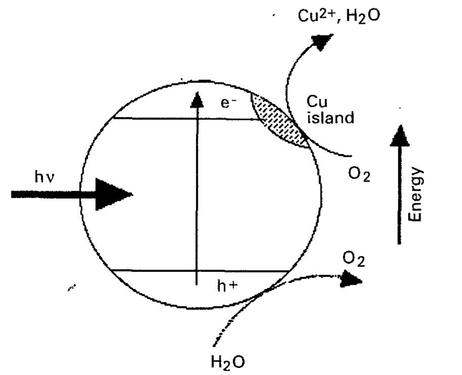 Fig. 3. The short-circuiting of a Cu-modified TiO, particle under band-gap irradiation. The oxygen that is evolved via the hole reac- tion is reconverted back to H,O at the Cu site which mediates the electron conjugate process. 
