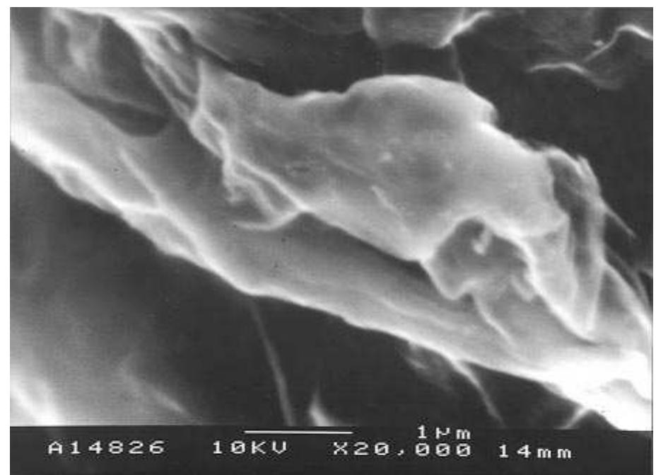 Mcc Samples Figure 5 - from The Location of Silicon Dioxide in