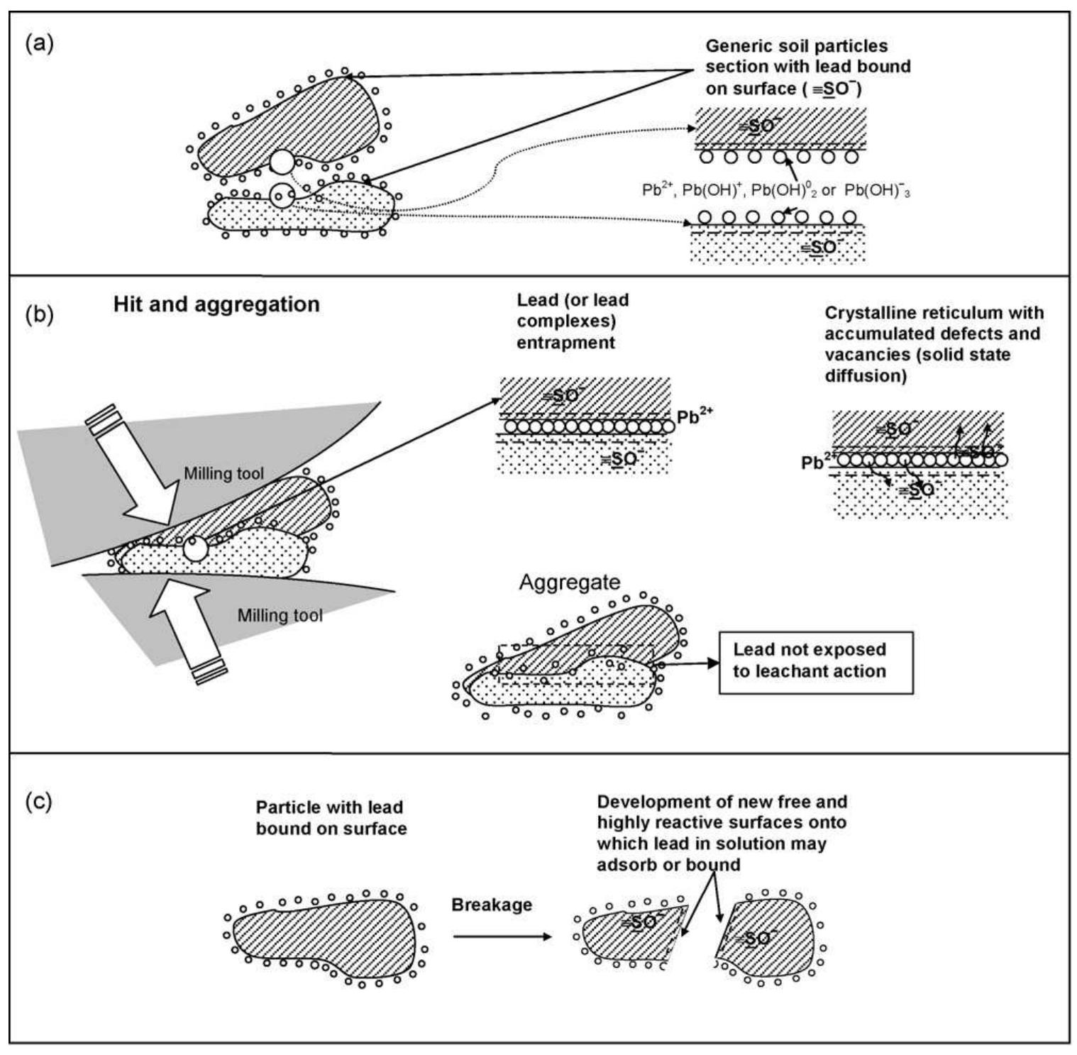 Schematic representation of possible mechanisms which may