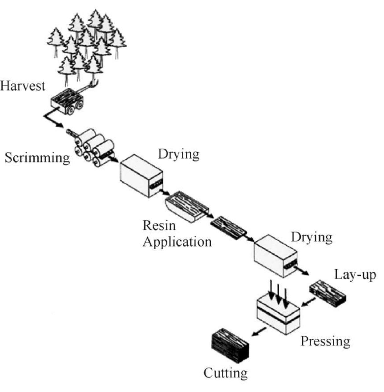 Timber Forming Process (PDF) Wood-based composites: plywood and veneer-based products