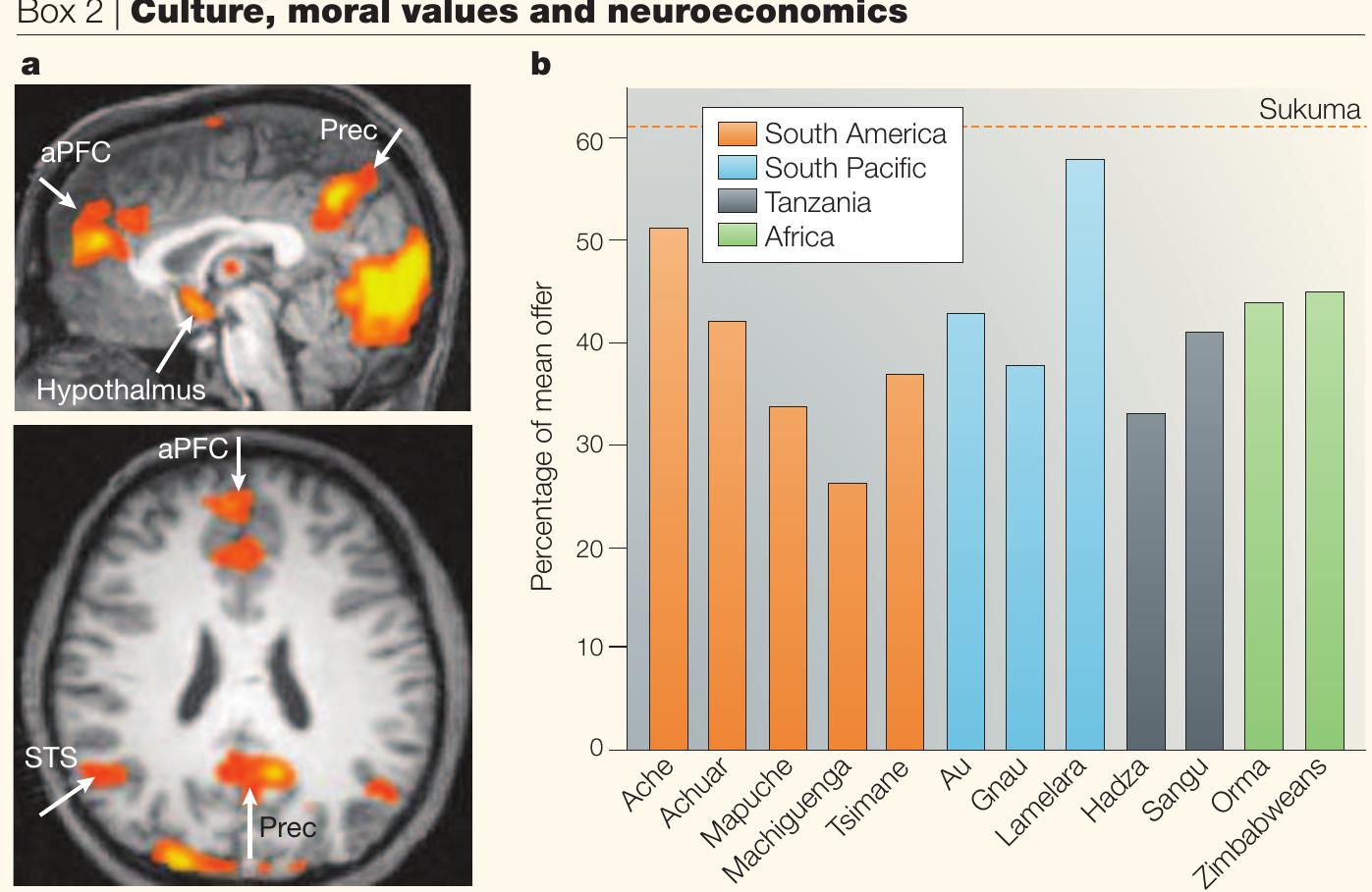 (PDF) The neural basis of human moral cognition