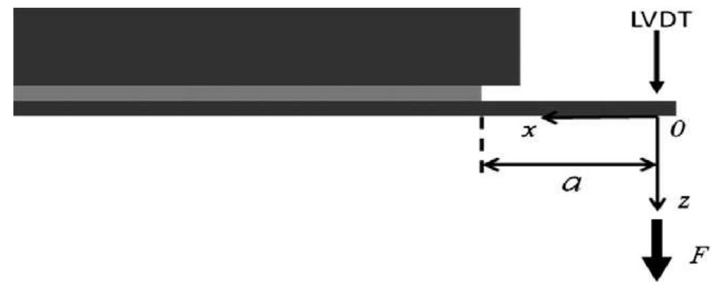 Schematic representation of single cantilever beam (scb)