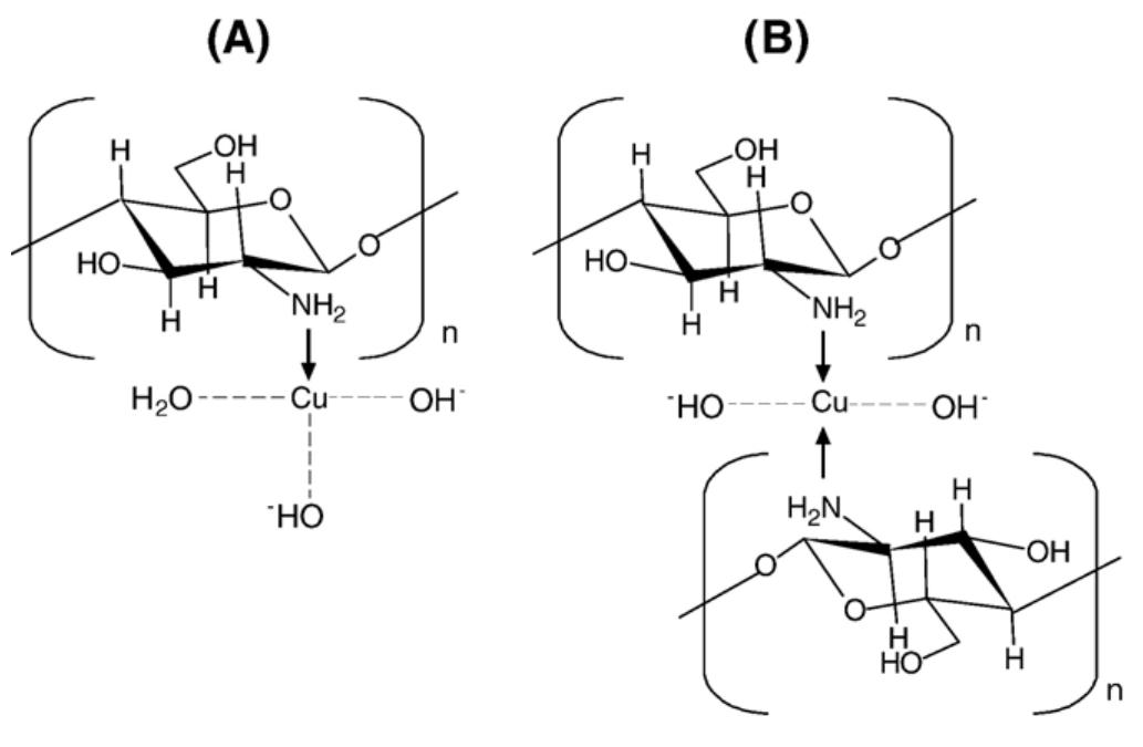Diagram showing two types of chitosan structures (a and b)